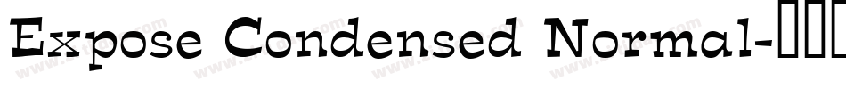 Expose Condensed Normal字体转换